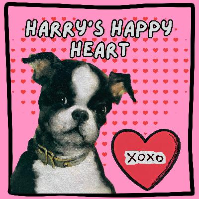 Harry's Happy Heart Harry's Happy Heart