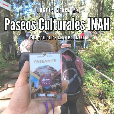 Aprender a observar en Paseos Culturales INAH #LaHojaSuelta con Mónica de Alba Molinari