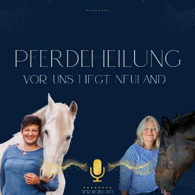 Hufgesundheit & Stressfreie Hufbearbeitung | Sarah Surmann und Silvia