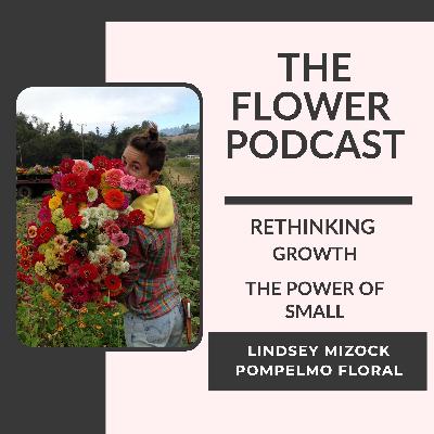 Rethinking Growth with Lindsey Mizock of Pompelmo Floral