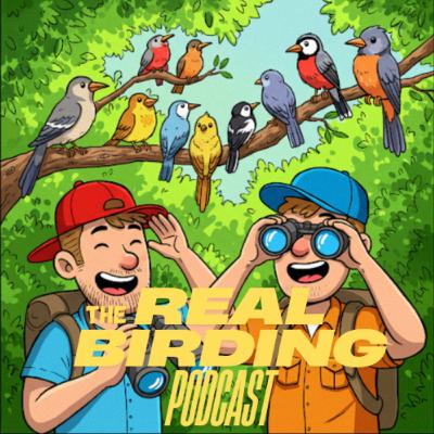 Ep. #47: How AI is Saving Birds at Wind Farms Ep. #47: How AI is Saving Birds at Wind Farms