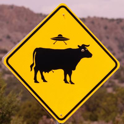 Cow Signs (Trailer)