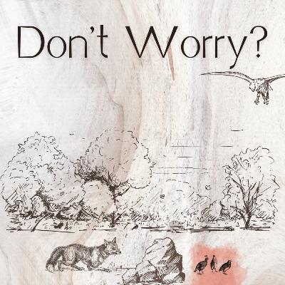 Don't Worry? Don't Worry?