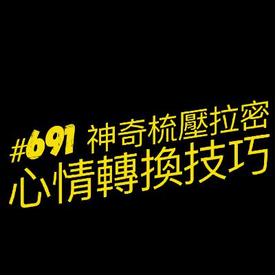 #691 拉密Rummikud神奇/心情轉換技巧