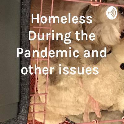Homeless During the Pandemic and other issues  (Trailer) Homeless During the Pandemic and other issues  (Trailer)