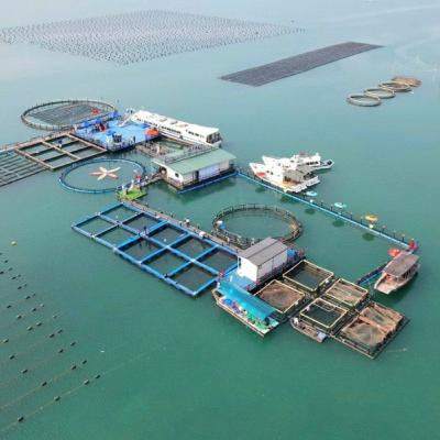 Bản tin Vùng Đông Bắc ngày 22/12