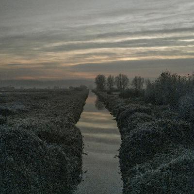 267 - BoP Festival 2025