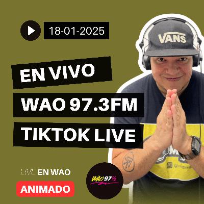 CABINA DE WAO DOMINGO 18 ENERO CABINA DE WAO DOMINGO 18 ENERO