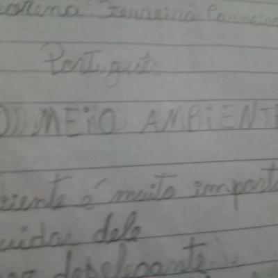 Meu poema do meio ambiente