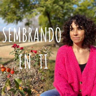 19. Meditación | Parar, limpiar y enraizar