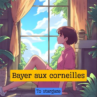 Bayer aux corneilles