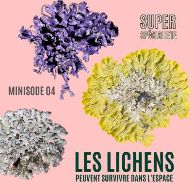 Les lichens peuvent survivre dans l'espace - Minisode