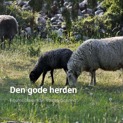 Den gode herden