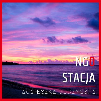 103: Ile kosztuje dobra strona internetowa organizacji?