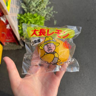 #4 フォカッチャ発酵待ち／遅映画　(2025/06/20)