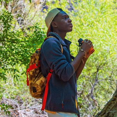 How Art Inspired a Young Birder