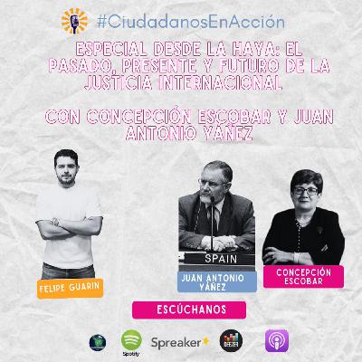 Especial desde la Haya: el pasado, presente y futuro de la justicia internacional