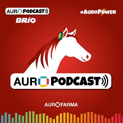 Equinos - Energía imparable 🐴 Equinos - Energía imparable 🐴