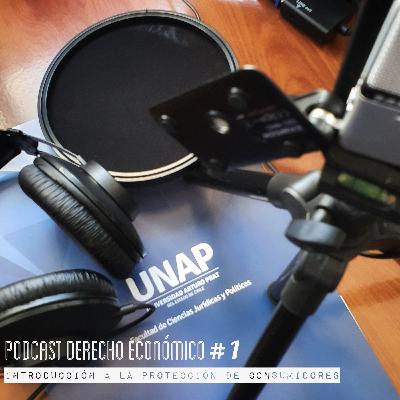 Derecho Económico Virtual (piloto anchor)