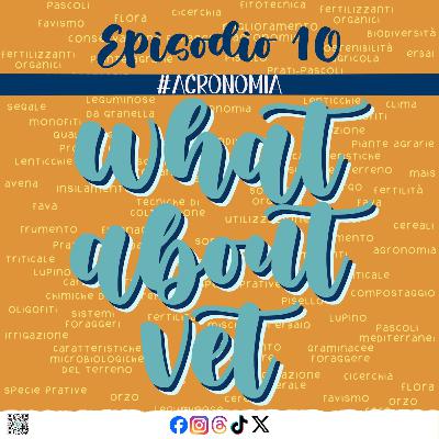 8x04 El de "El legado del mal: La hija de Bellatrix y Voldemort" (Witch Market 2025)