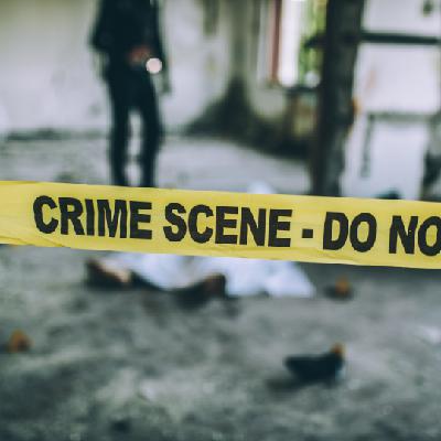 S4E8: Better Understanding Crime S4E8: Better Understanding Crime