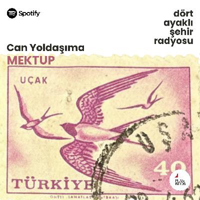 Can Yoldaşıma Mektup | Balca Arda'nın Kezban'a Mektubu