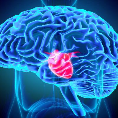 ep00 : Résumé et avant propos