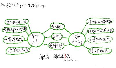 竹叶与淡竹叶的异同