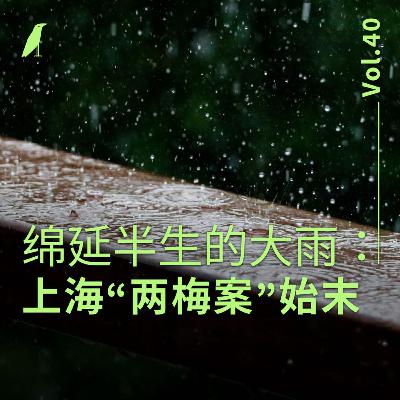 040 绵延半生的大雨：上海“两梅案”始末