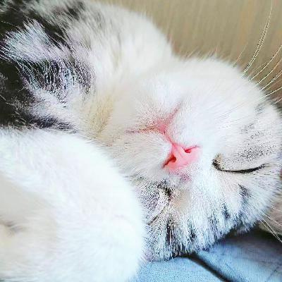 我们的工作:甲方与乙方的灭世之仇 我们的工作:甲方与乙方的灭世之仇