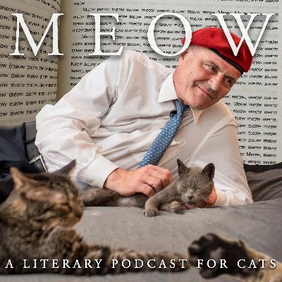 62. Curtis Sliwa's Cats Fire Back at Trump With Eloquent, 22-Page Written Statement