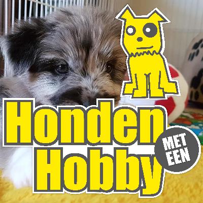 #3: Ik wil een pup! Hoe voorkom ik koop bij een broodfokker en broodfokhandelaar?!