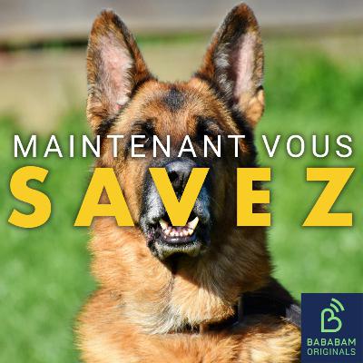 Qu’est-ce qu’un “Dog Whistle” en politique ? Qu’est-ce qu’un “Dog Whistle” en politique ?