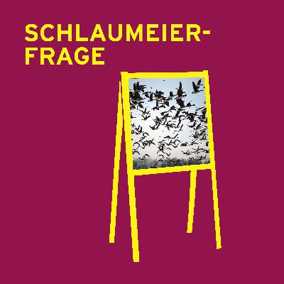 Schlaumeierfrage: Wohin fliegen Zugvögel und warum?