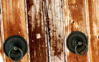 Holophrasis v.1 - Postcard from Violet Moon