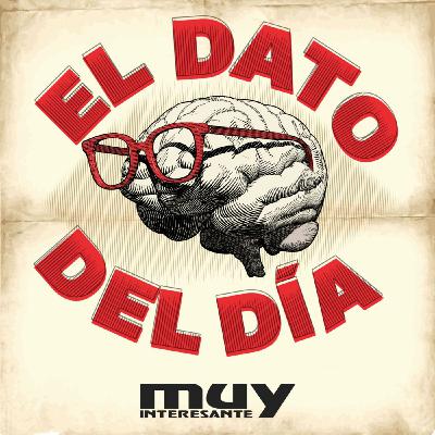 ¿Por qué hay tantas jacarandas en la CDMX? ¿Por qué hay tantas jacarandas en la CDMX?