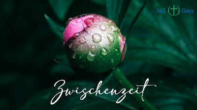 Zwischenzeit