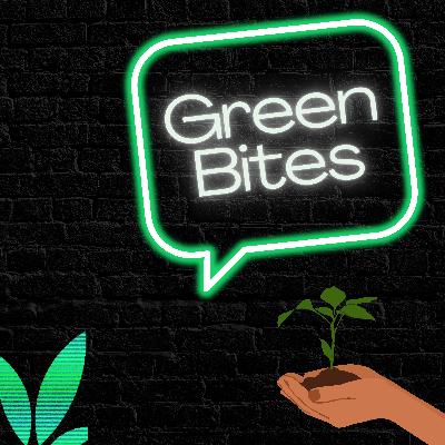Episode 3, greenwashing to greenhushing, why are corporations hiding their sustainability efforts? Episode 3, greenwashing to greenhushing, why are corporations hiding their sustainability efforts?