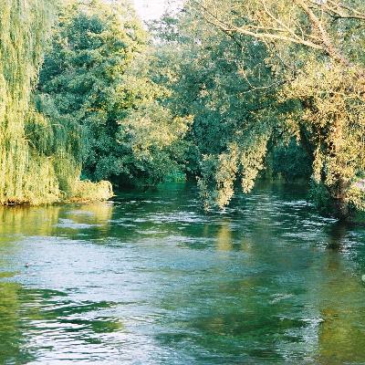 One Minute to Midnight: Saving England’s Chalk Stream Salmon One Minute to Midnight: Saving England’s Chalk Stream Salmon