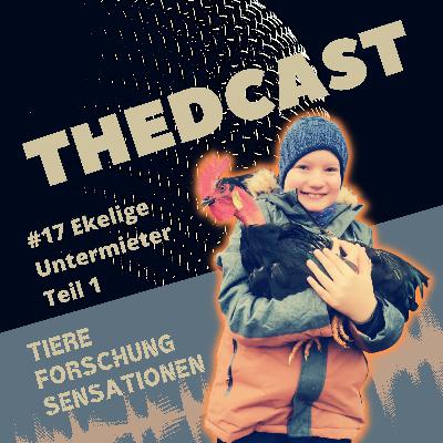 Ekelige Untermieter-Teil 1
