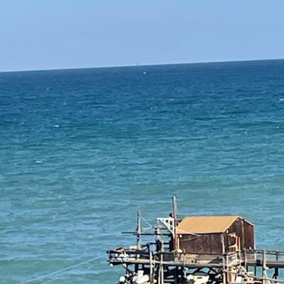 Translation and Exile