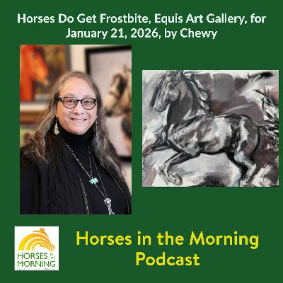 Horses Do Get Frostbite, Equis Art Gallery, for January 21, 2026, by Chewy - Horses in the Morning Horses Do Get Frostbite, Equis Art Gallery, for January 21, 2026, by Chewy - Horses in the Morning