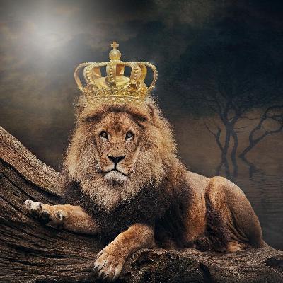 Episode #34 The Lion King Episode #34 The Lion King