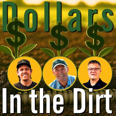 Dollars in the Dirt: : Real Farmer Talk on Tile ROI & Land Value