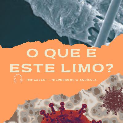 MicroCast 03 - O que é limo? MicroCast 03 - O que é limo?