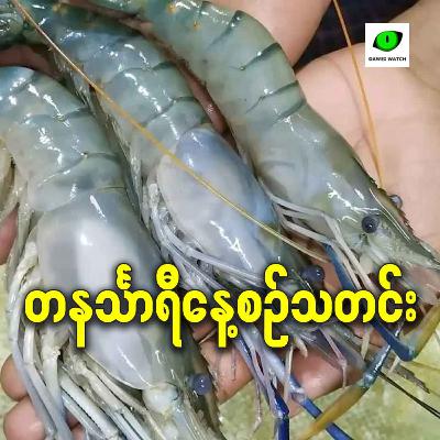 အောက်တိုဘာလ ၂၇ရက် တနင်္သာရီနေ့စဉ်သတင်း အစီအစဉ်