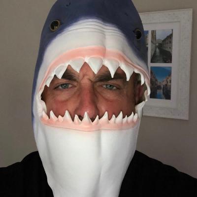 Ep 8 Your link to the past for better or worse - Siblings