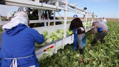 New Agriculture Wage Rate Rule Important Step in Reform