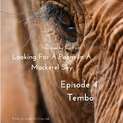 Tembo Tembo
