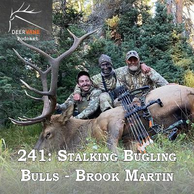 241: Stalking Bugling Bulls - Brook Martin (pt 1) 241: Stalking Bugling Bulls - Brook Martin (pt 1)